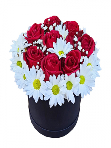 Kutuda Güller ve Papatyalar